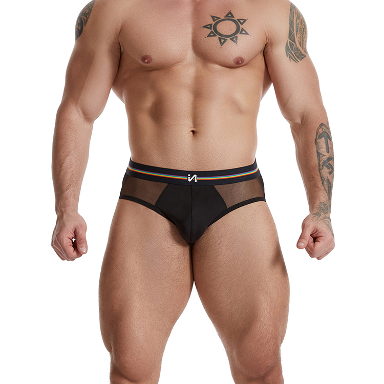 OEM Mens Black Mesh Transparent Sexy Brief