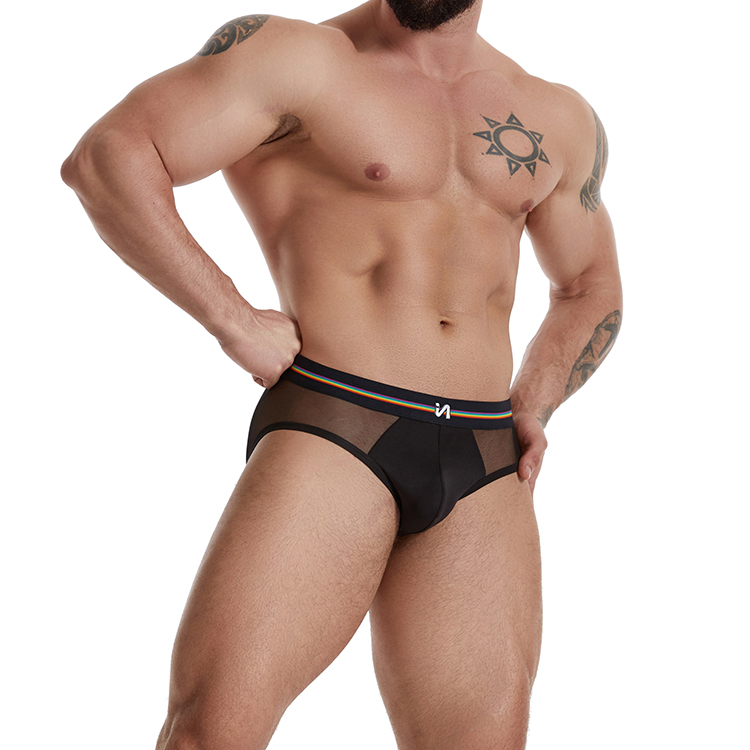 OEM Mens Black Mesh Transparent Sexy Brief