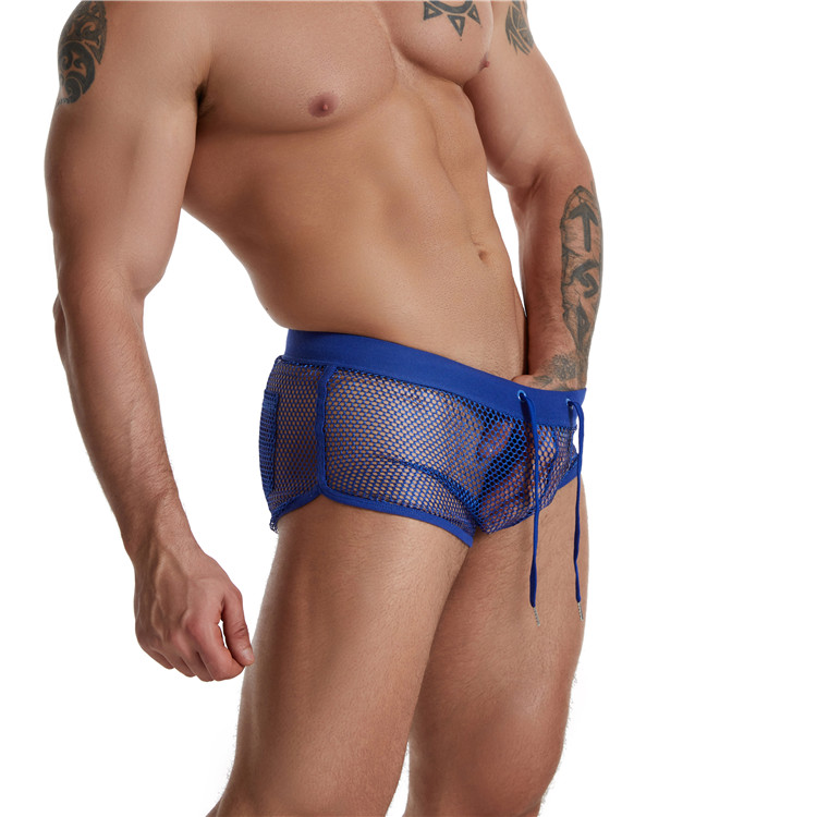 Erotic Mesh See Through Boxer Briefs for Men