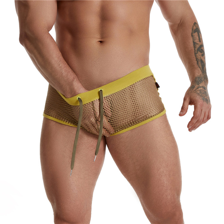 Erotic Mesh See Through Boxer Briefs for Men